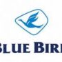 Bluebird Pool Pondok Cabe 2 Logo