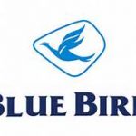 Bluebird Pool Pondok Cabe 2 Logo