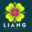 Liang Culinary Service Logo
